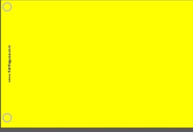 Quarantine flag