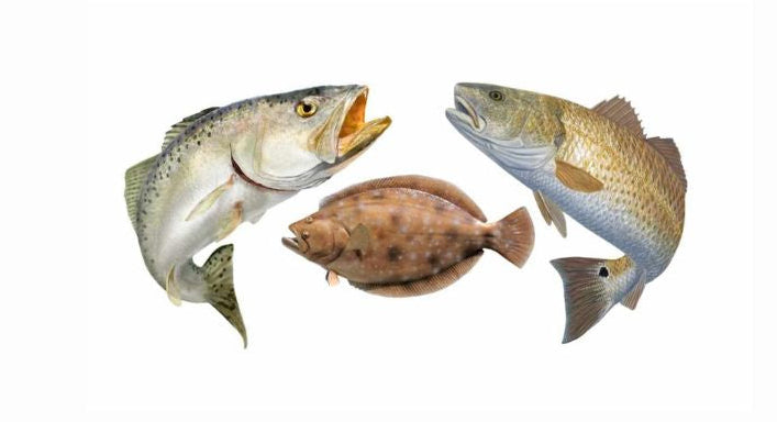 Inshore "slam"