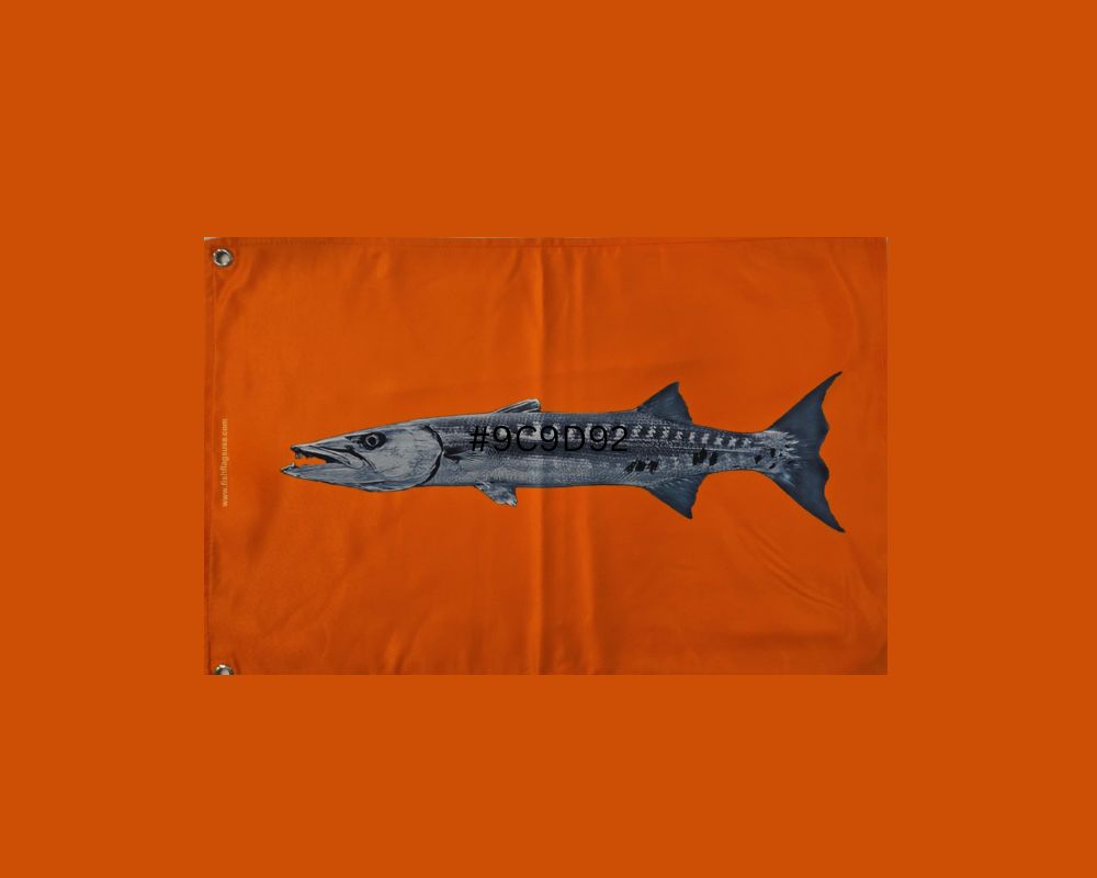 More Realistic-looking Barracuda