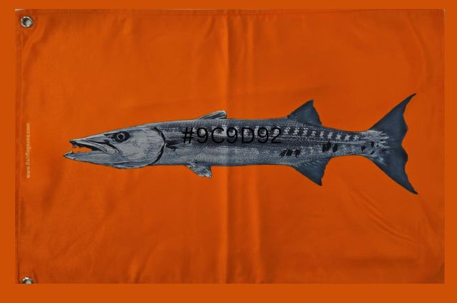 More Realistic-looking Barracuda