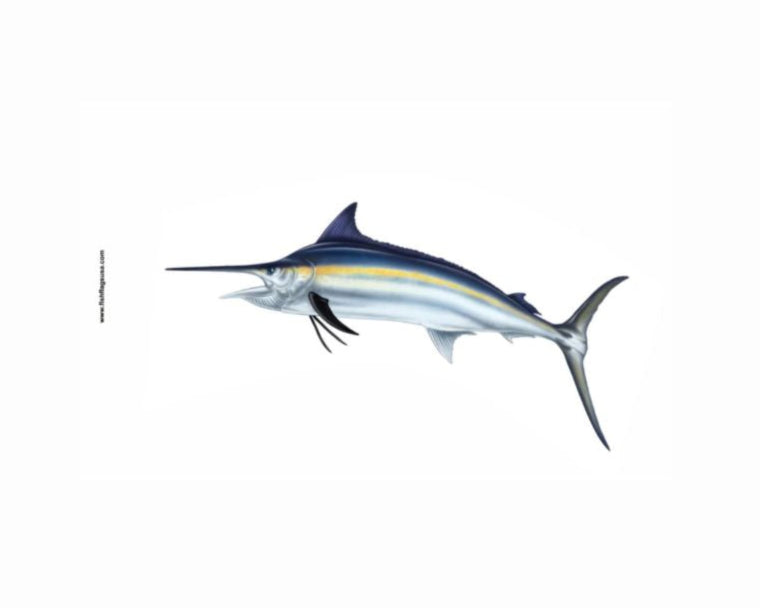 More Realistic Black Marlin Flag