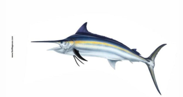 More Realistic Black Marlin Flag