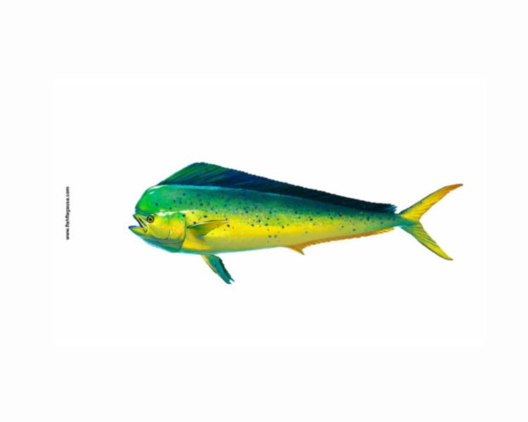 More Realistic Looking Mahi