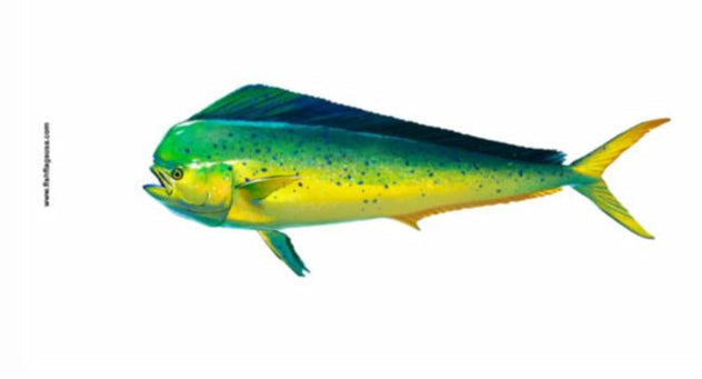More Realistic Looking Mahi
