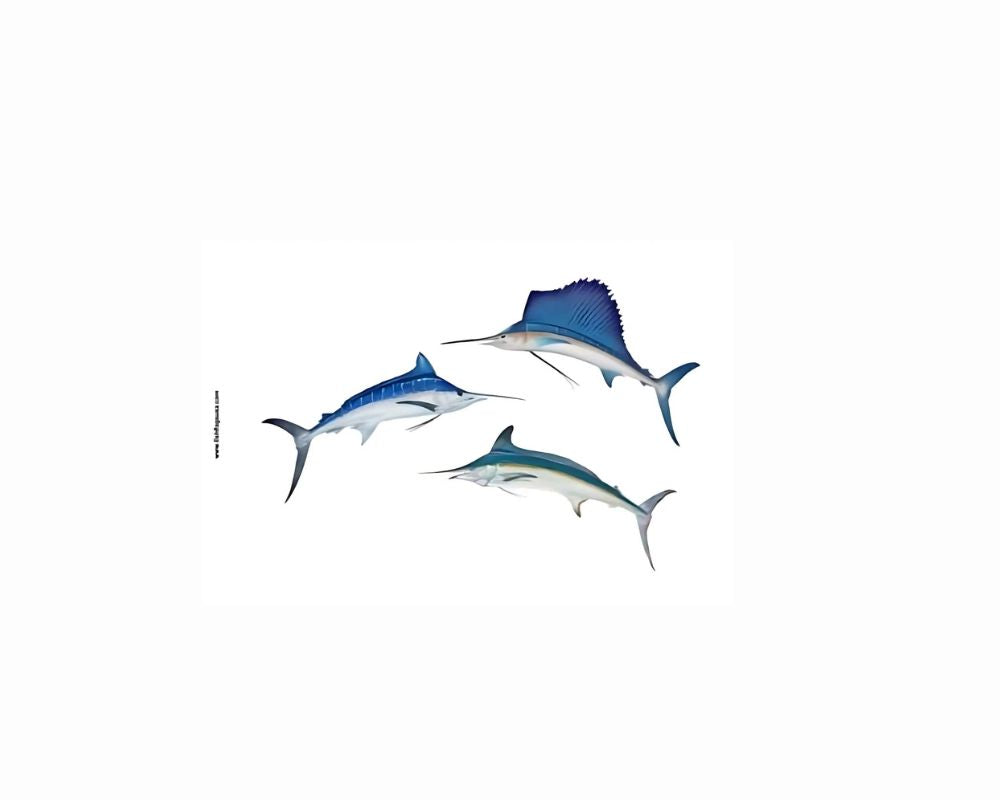 Offshore "Slam" flag