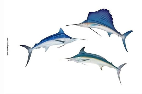 Offshore "Slam" flag