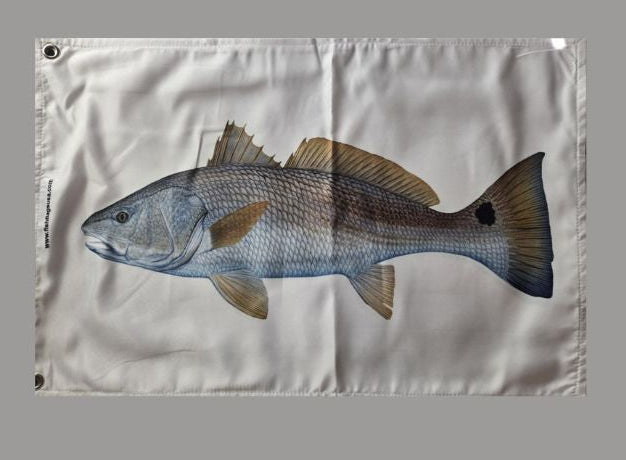 Red Drum