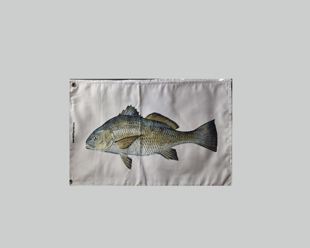 Black Drum