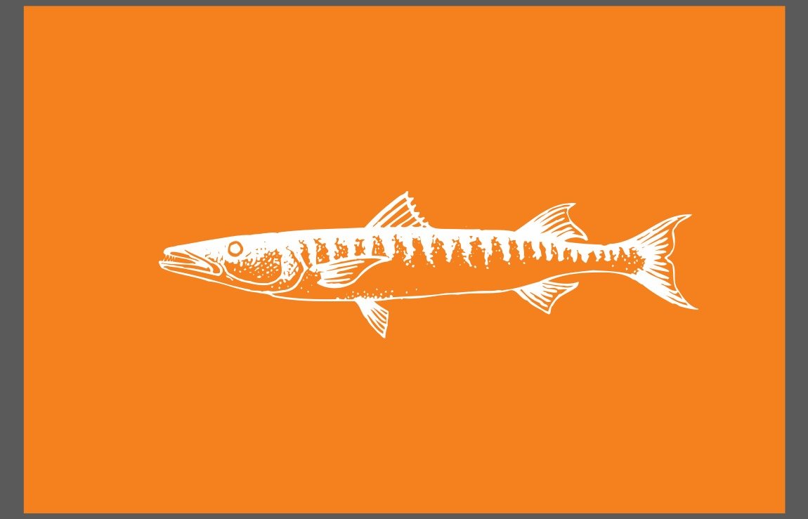 Barracuda Catch Flag