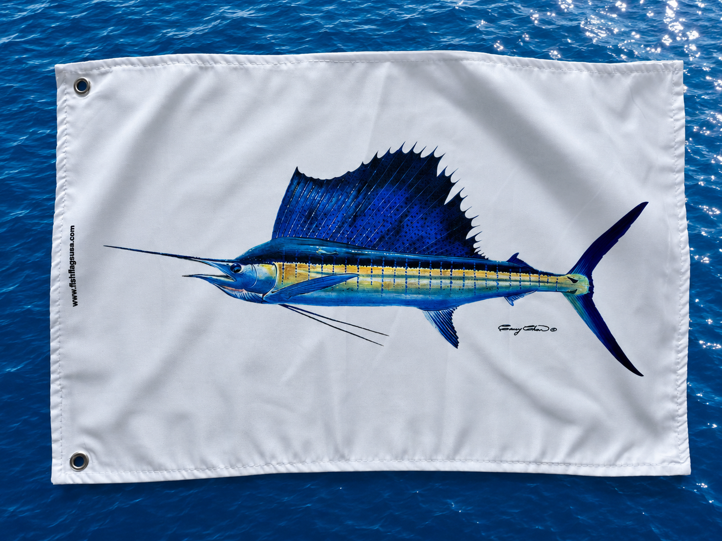 Carey Chen Sailfish