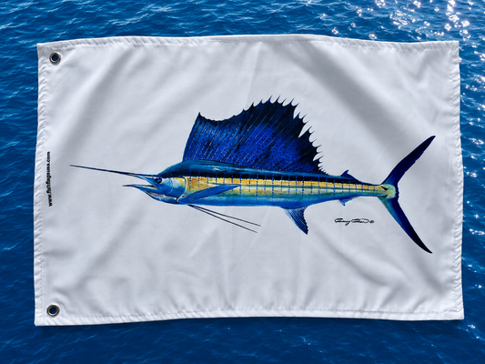 Carey Chen Sailfish